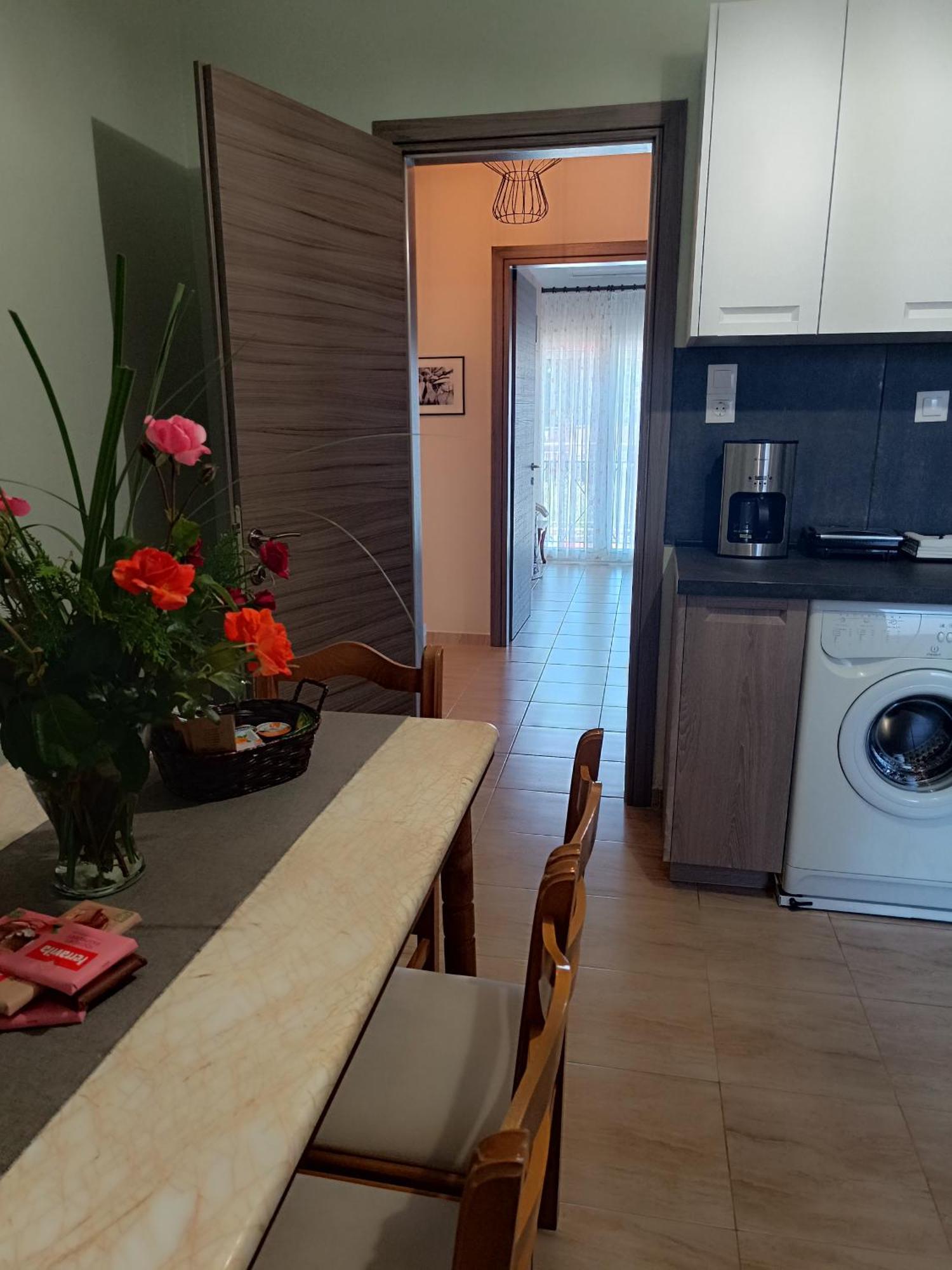 Panos House - High Luxury Apartment Tríkala المظهر الخارجي الصورة